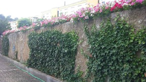 Scheuermann-Naturstein-Showroom-Krusten-08